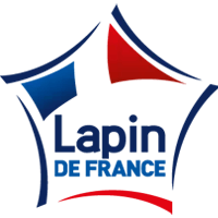 Lapin de France