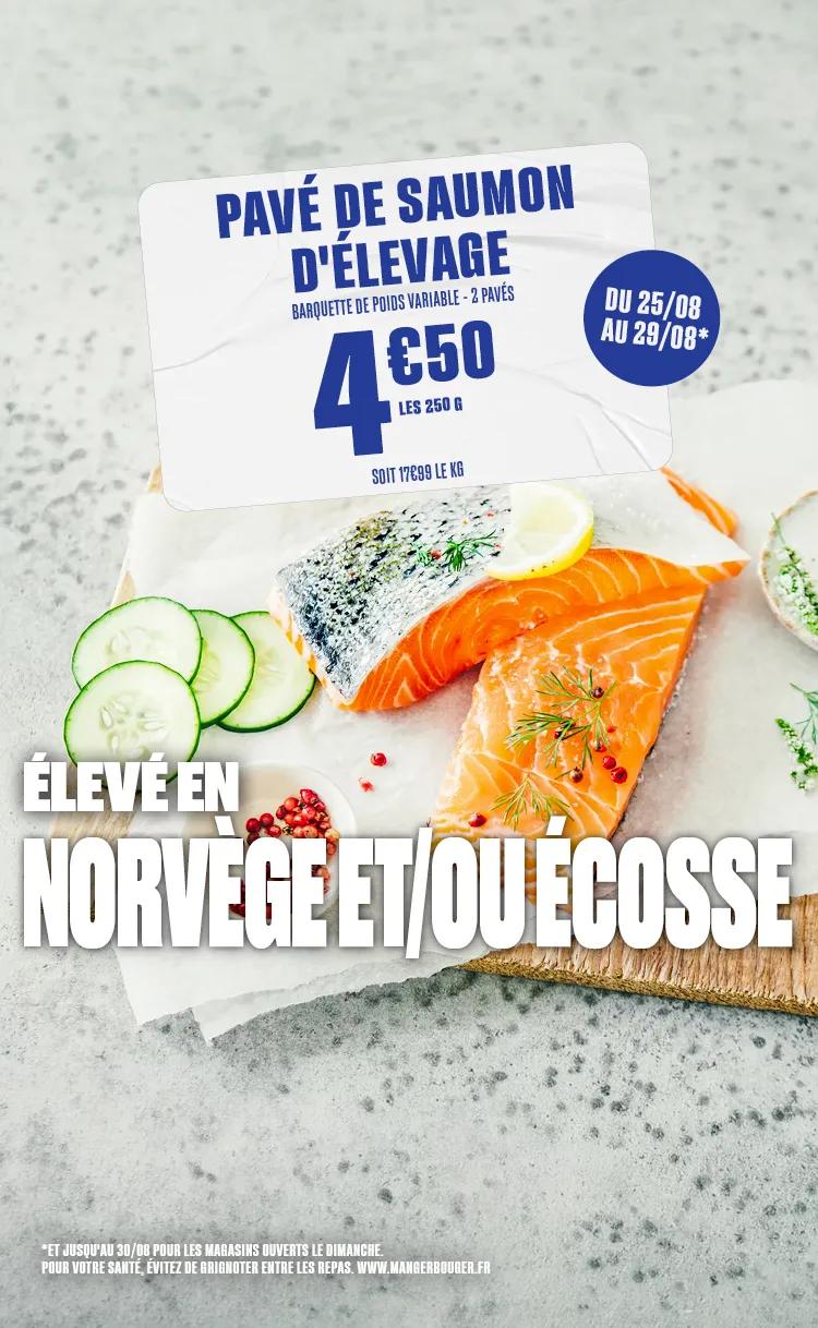 Slider S35 - Marée pavé de saumon