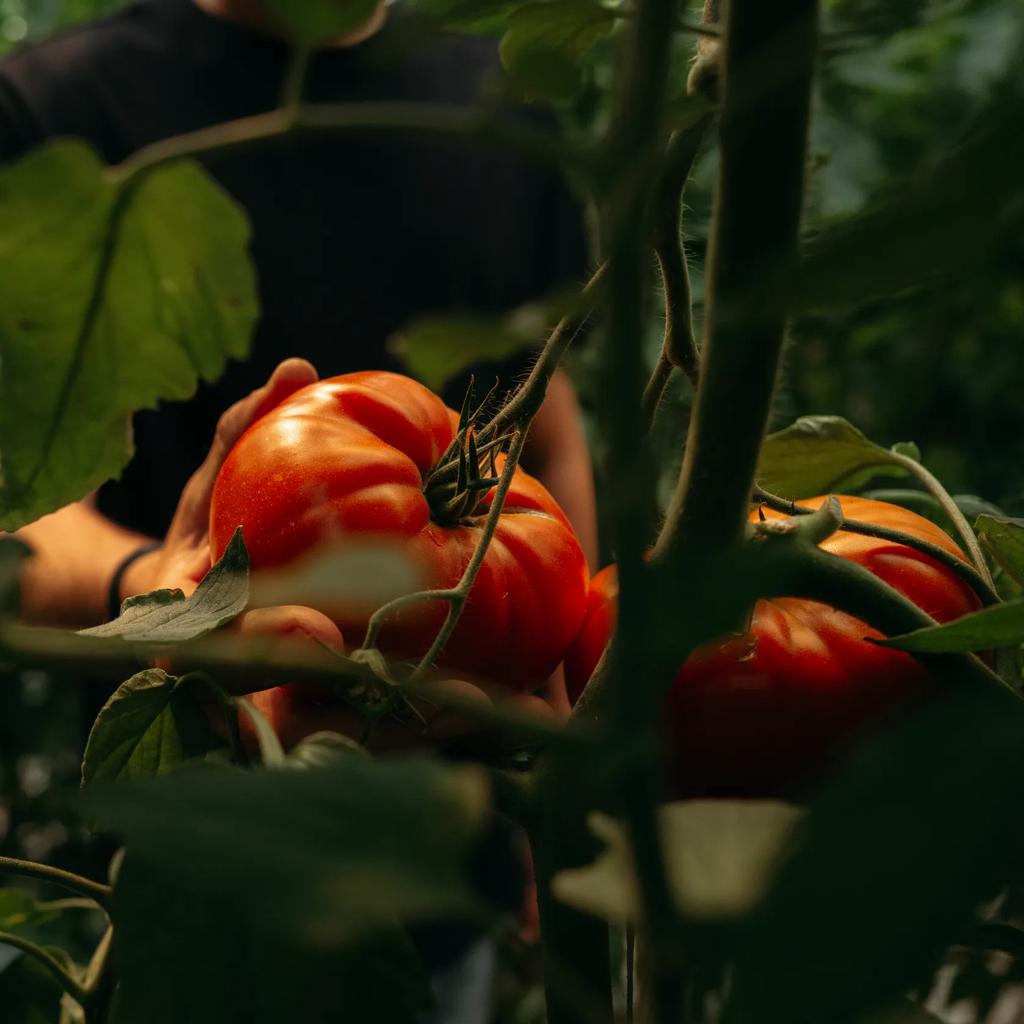 Pas toujours parfaits, mais toujours délicieux. 🍎🍐