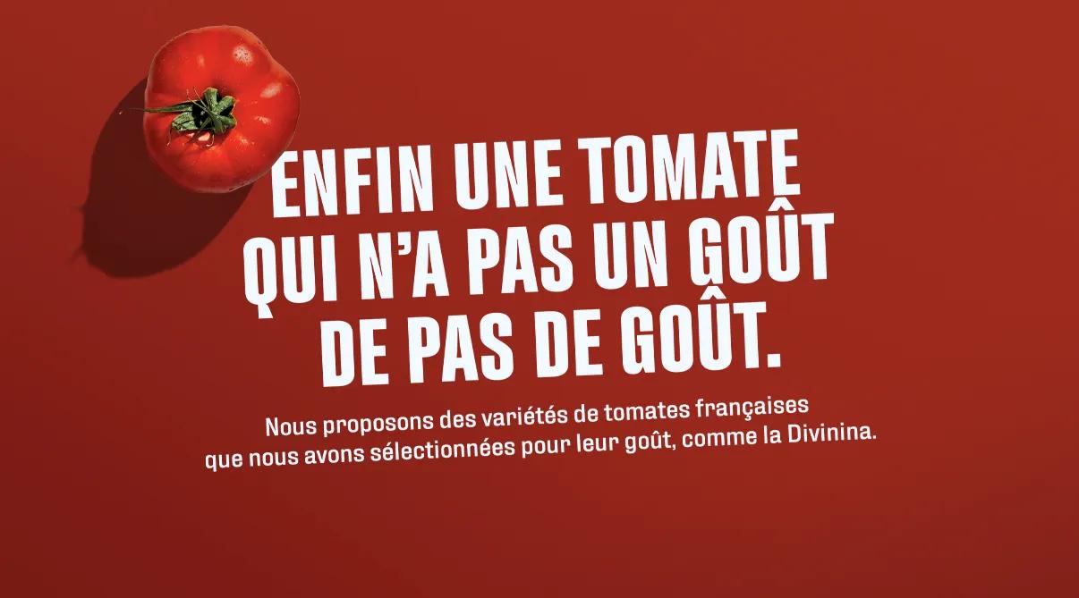 Nos conseils