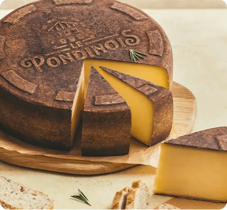 Le Pondinois : un fromage comme vous ne l’avez jamais savouré !