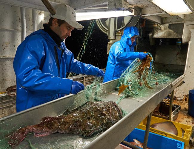 La lotte, un poisson en forme