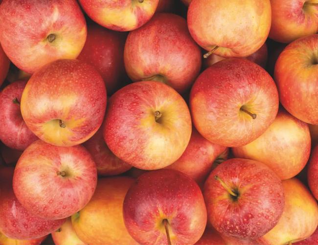 La pomme Gala à prix mini, ça se croque !