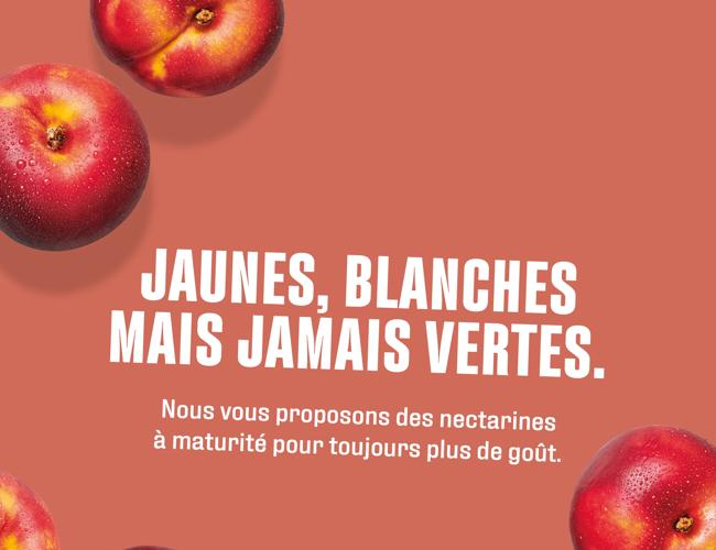 Du bon, du beau, du frais !