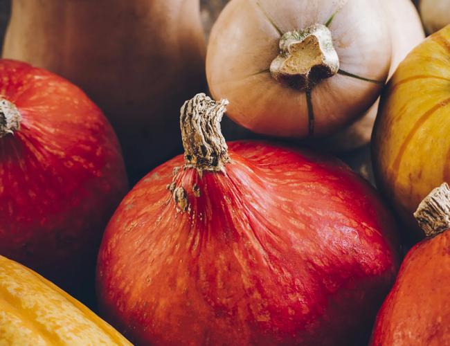 La courge attitude !