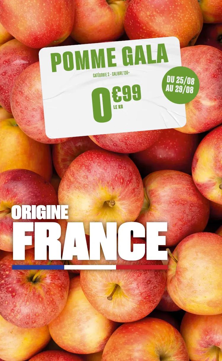 Slider S35 - FL Pomme Gala