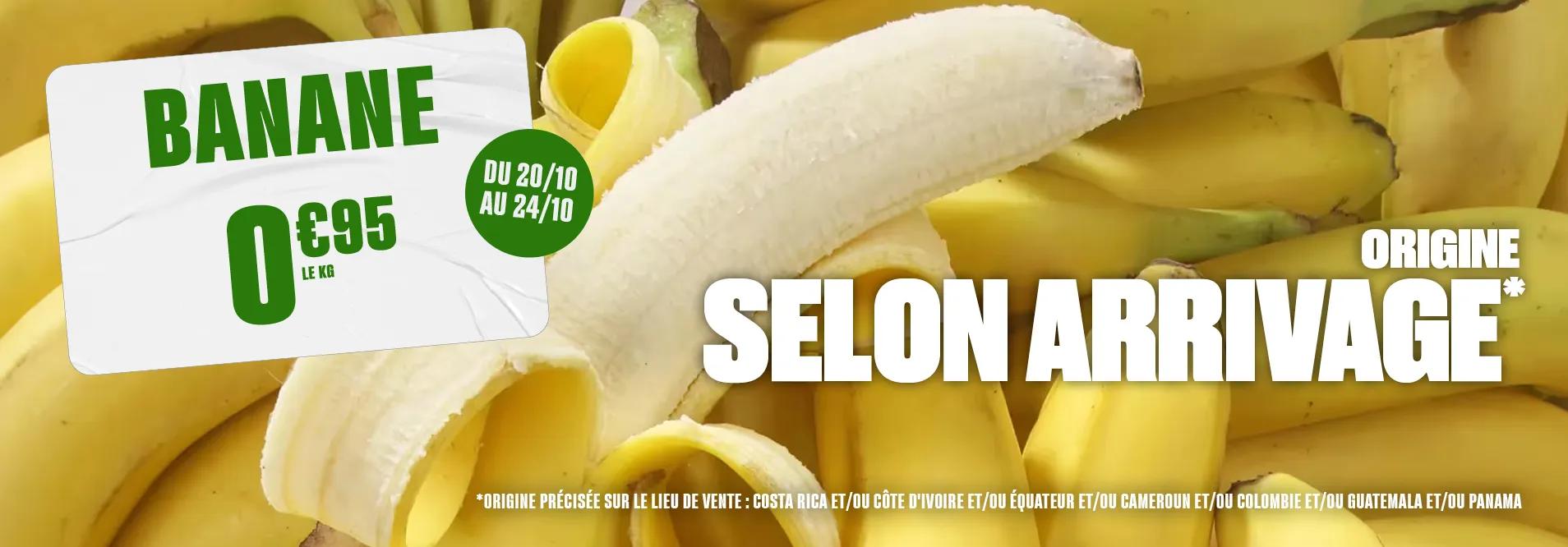 Slider S43 - FL Banane